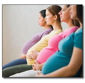 maternity insurance Maternity Insurance